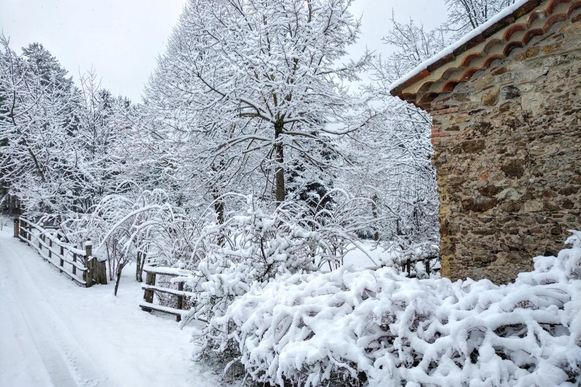 Torre Camigliati Dimora Storica Hotel Camigliatello Silano Bagian luar foto