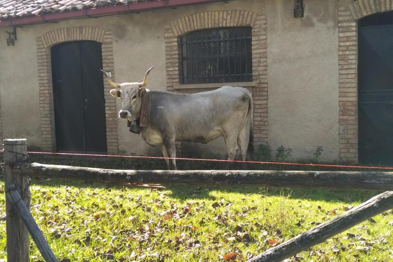 Torre Camigliati Dimora Storica Hotel Camigliatello Silano Bagian luar foto