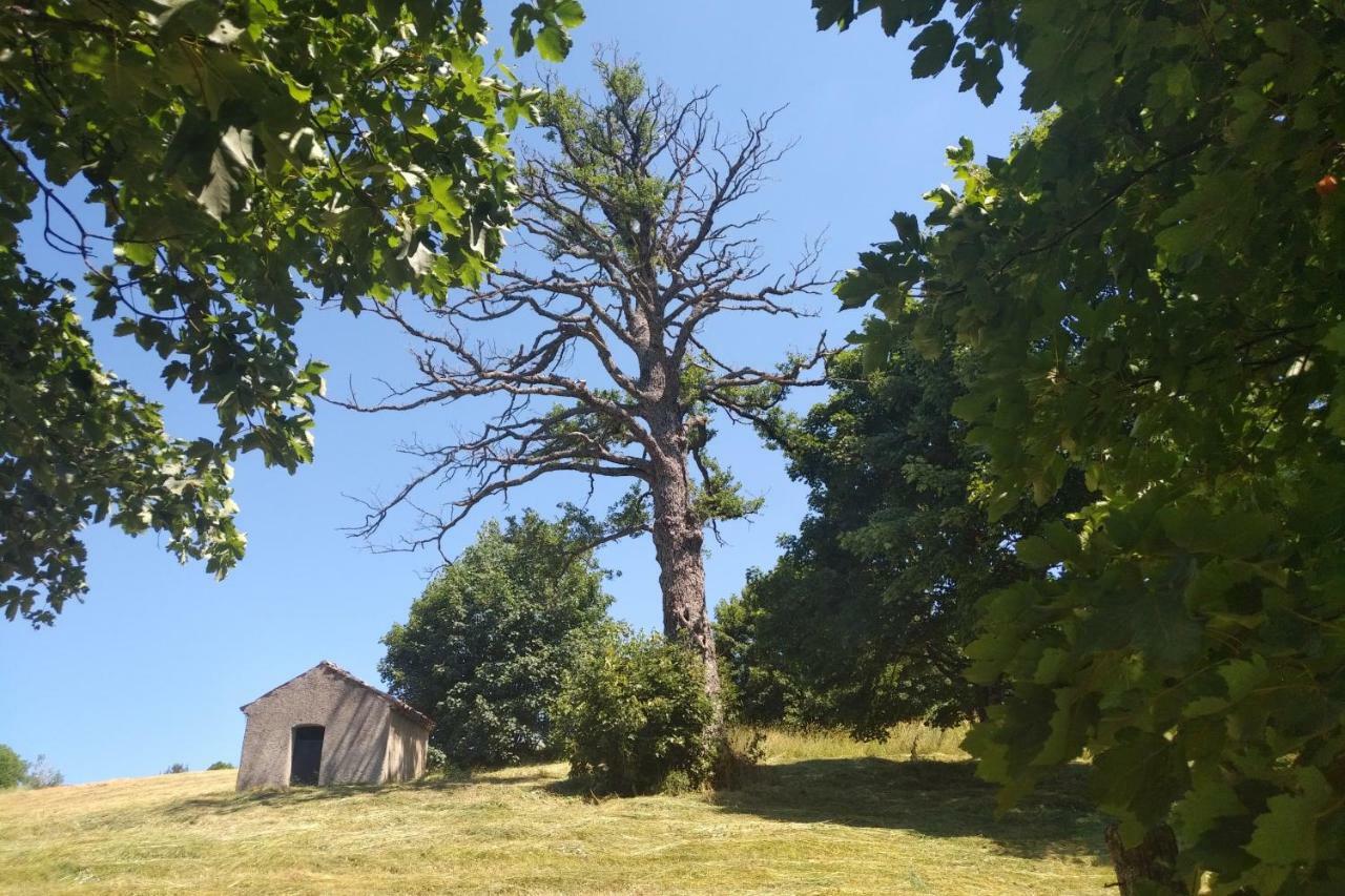 Torre Camigliati Dimora Storica Hotel Camigliatello Silano Bagian luar foto